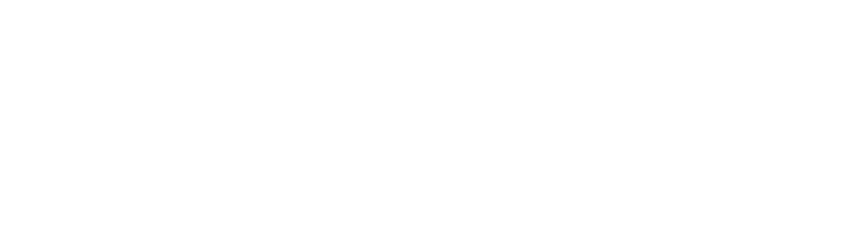 Nerd Studios logo